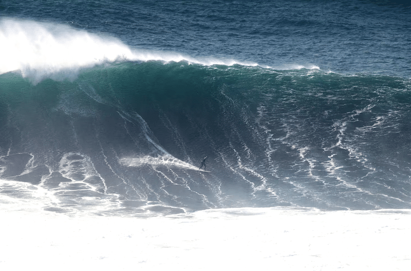 Gabeira (pictured) very much alive. Photo: Red Bull